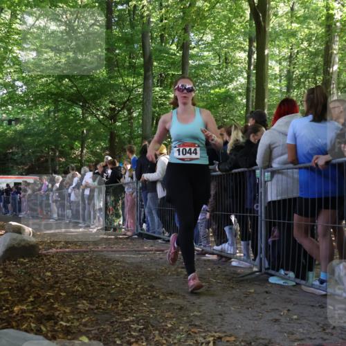 28.09.2025 - 33. Volkslauf durch das schöne Alstertal Strokosch-Dieckow http://msf.ph/oto/8972758 28.09.2025 12:04:23 Ziel 1044 meine-sportfotos.de