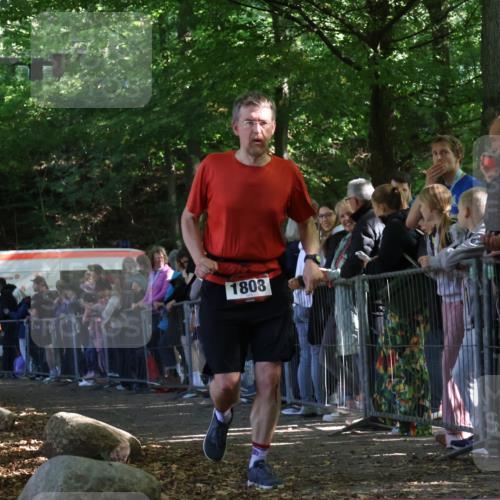 28.09.2025 - 33. Volkslauf durch das schöne Alstertal Strokosch-Dieckow http://msf.ph/oto/8972763 28.09.2025 12:04:35 Ziel 1808 meine-sportfotos.de