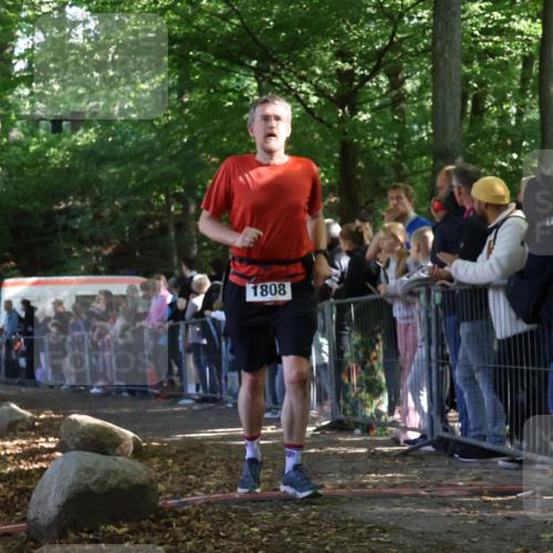 28.09.2025 - 33. Volkslauf durch das schöne Alstertal Strokosch-Dieckow http://msf.ph/oto/8972764 28.09.2025 12:04:35 Ziel 1808 meine-sportfotos.de