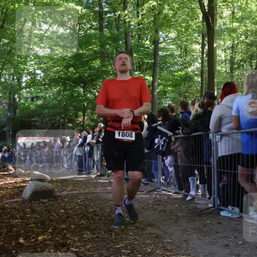 28.09.2025 - 33. Volkslauf durch das schöne Alstertal Strokosch-Dieckow http://msf.ph/oto/8972767 28.09.2025 12:04:37 Ziel 1808 meine-sportfotos.de