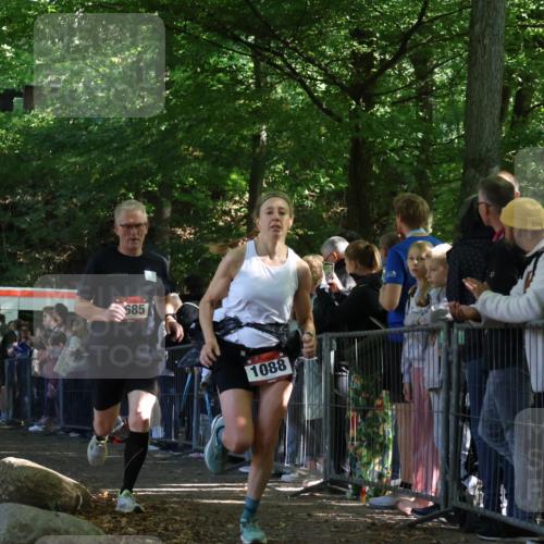 28.09.2025 - 33. Volkslauf durch das schöne Alstertal Strokosch-Dieckow http://msf.ph/oto/8972771 28.09.2025 12:04:56 Ziel 1030, 1088, 1667, 1678, 1685, 2459, 2552 meine-sportfotos.de