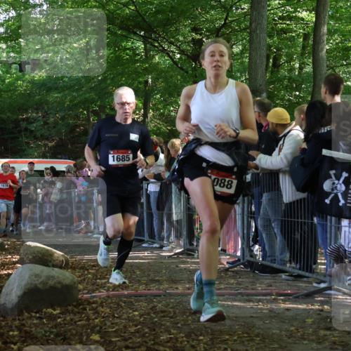 28.09.2025 - 33. Volkslauf durch das schöne Alstertal Strokosch-Dieckow http://msf.ph/oto/8972773 28.09.2025 12:04:56 Ziel 1030, 1088, 1667, 1678, 1685, 2459, 2552 meine-sportfotos.de
