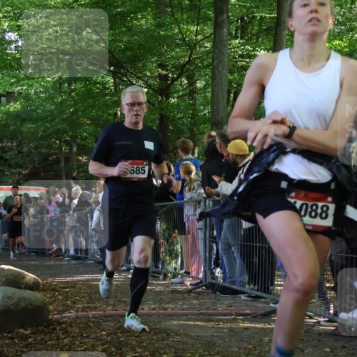 28.09.2025 - 33. Volkslauf durch das schöne Alstertal Strokosch-Dieckow http://msf.ph/oto/8972775 28.09.2025 12:04:57 Ziel 1030, 1088, 1667, 1678, 1685, 2459, 2552 meine-sportfotos.de