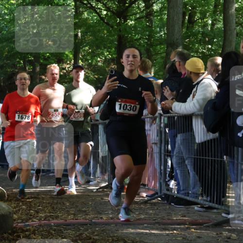 28.09.2025 - 33. Volkslauf durch das schöne Alstertal Strokosch-Dieckow http://msf.ph/oto/8972780 28.09.2025 12:05:01 Ziel 1030, 1034, 1658, 1667, 1678, 2459, 2552 meine-sportfotos.de