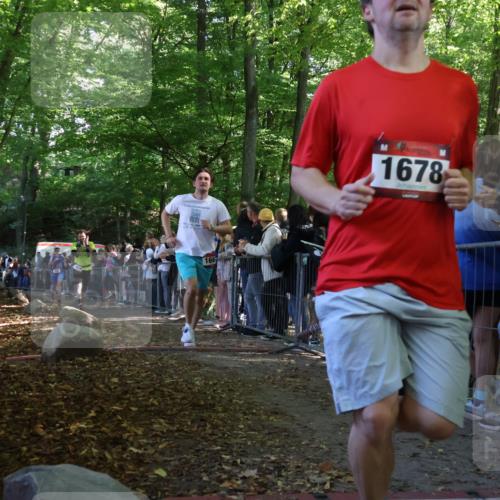 28.09.2025 - 33. Volkslauf durch das schöne Alstertal Strokosch-Dieckow http://msf.ph/oto/8972787 28.09.2025 12:05:04 Ziel 1034, 1658, 1667, 1678 meine-sportfotos.de