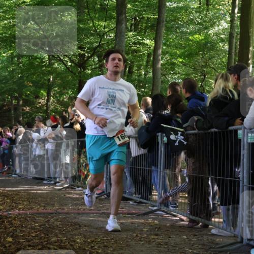 28.09.2025 - 33. Volkslauf durch das schöne Alstertal Strokosch-Dieckow http://msf.ph/oto/8972788 28.09.2025 12:05:05 Ziel 1034, 1658, 1667 meine-sportfotos.de