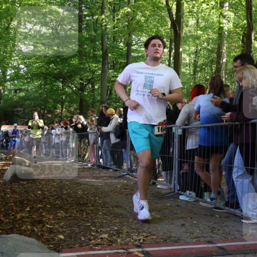 28.09.2025 - 33. Volkslauf durch das schöne Alstertal Strokosch-Dieckow http://msf.ph/oto/8972790 28.09.2025 12:05:06 Ziel 1034, 1658, 1667 meine-sportfotos.de