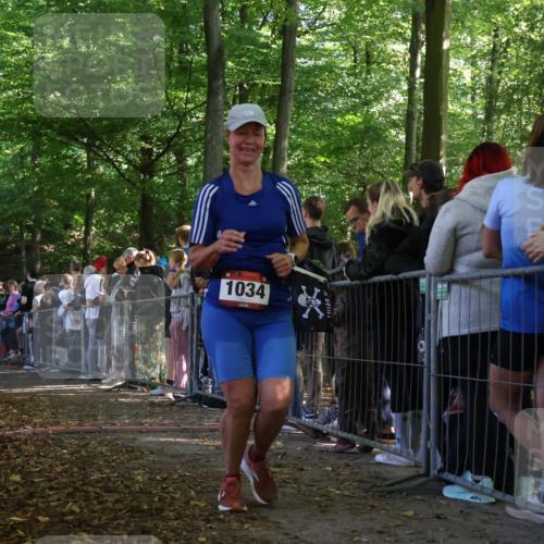 28.09.2025 - 33. Volkslauf durch das schöne Alstertal Strokosch-Dieckow http://msf.ph/oto/8972797 28.09.2025 12:05:11 Ziel 1034 meine-sportfotos.de