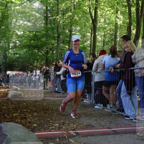 28.09.2025 - 33. Volkslauf durch das schöne Alstertal Strokosch-Dieckow http://msf.ph/oto/8972798 28.09.2025 12:05:11 Ziel 1034 meine-sportfotos.de