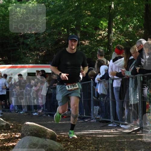 28.09.2025 - 33. Volkslauf durch das schöne Alstertal Strokosch-Dieckow http://msf.ph/oto/8972802 28.09.2025 12:05:22 Ziel 1795, 2109, 2110, 2622 meine-sportfotos.de