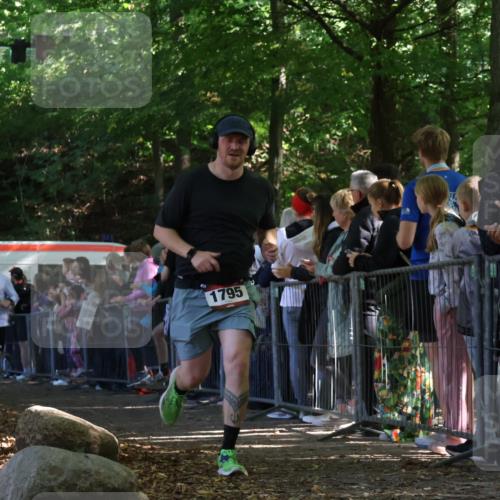 28.09.2025 - 33. Volkslauf durch das schöne Alstertal Strokosch-Dieckow http://msf.ph/oto/8972803 28.09.2025 12:05:22 Ziel 1795, 2109, 2110, 2622 meine-sportfotos.de