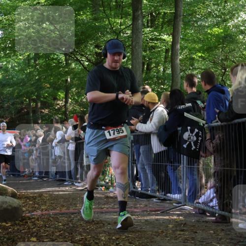28.09.2025 - 33. Volkslauf durch das schöne Alstertal Strokosch-Dieckow http://msf.ph/oto/8972805 28.09.2025 12:05:24 Ziel 1795, 2109, 2110, 2385, 2622 meine-sportfotos.de
