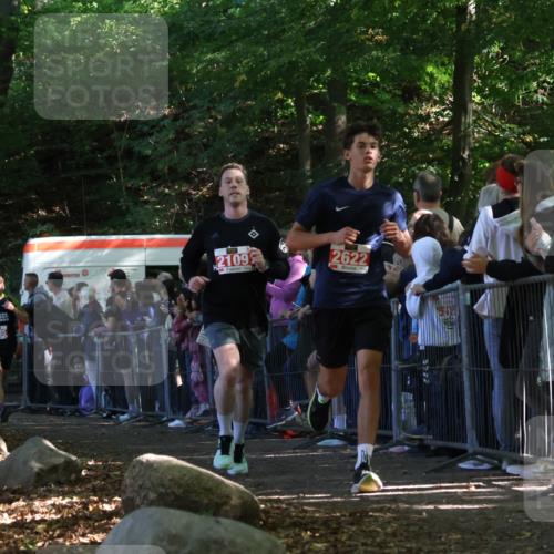 28.09.2025 - 33. Volkslauf durch das schöne Alstertal Strokosch-Dieckow http://msf.ph/oto/8972811 28.09.2025 12:05:28 Ziel 1688, 2109, 2110, 2385, 2622 meine-sportfotos.de