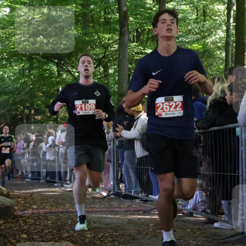 28.09.2025 - 33. Volkslauf durch das schöne Alstertal Strokosch-Dieckow http://msf.ph/oto/8972816 28.09.2025 12:05:31 Ziel 1688, 2109, 2385, 2622 meine-sportfotos.de