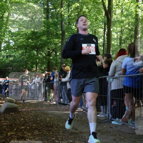 28.09.2025 - 33. Volkslauf durch das schöne Alstertal Strokosch-Dieckow http://msf.ph/oto/8972818 28.09.2025 12:05:32 Ziel 1688, 2109, 2187, 2385 meine-sportfotos.de