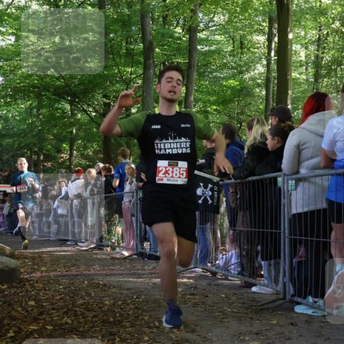 28.09.2025 - 33. Volkslauf durch das schöne Alstertal Strokosch-Dieckow http://msf.ph/oto/8972820 28.09.2025 12:05:33 Ziel 1688, 2187, 2385 meine-sportfotos.de