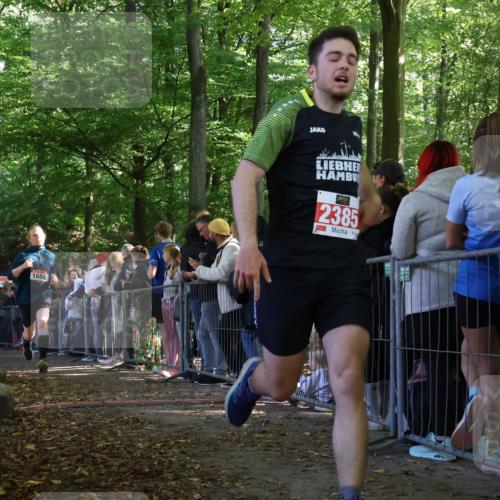28.09.2025 - 33. Volkslauf durch das schöne Alstertal Strokosch-Dieckow http://msf.ph/oto/8972821 28.09.2025 12:05:34 Ziel 1688, 2187, 2385 meine-sportfotos.de