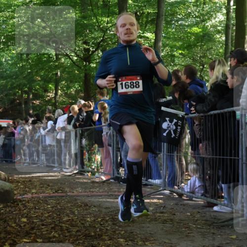 28.09.2025 - 33. Volkslauf durch das schöne Alstertal Strokosch-Dieckow http://msf.ph/oto/8972823 28.09.2025 12:05:35 Ziel 1688, 2187 meine-sportfotos.de
