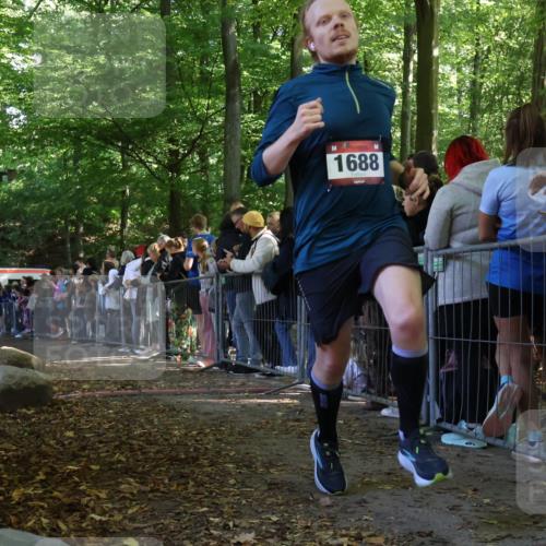 28.09.2025 - 33. Volkslauf durch das schöne Alstertal Strokosch-Dieckow http://msf.ph/oto/8972824 28.09.2025 12:05:35 Ziel 1688, 2187 meine-sportfotos.de