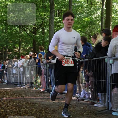 28.09.2025 - 33. Volkslauf durch das schöne Alstertal Strokosch-Dieckow http://msf.ph/oto/8972829 28.09.2025 12:05:41 Ziel 1023, 1691, 2118, 2187, 2617 meine-sportfotos.de
