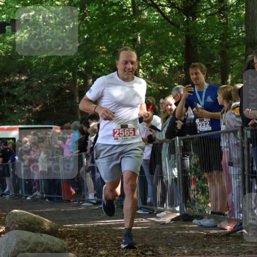 28.09.2025 - 33. Volkslauf durch das schöne Alstertal Strokosch-Dieckow http://msf.ph/oto/8972843 28.09.2025 12:05:52 Ziel 2565 meine-sportfotos.de