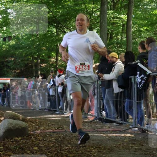 28.09.2025 - 33. Volkslauf durch das schöne Alstertal Strokosch-Dieckow http://msf.ph/oto/8972845 28.09.2025 12:05:53 Ziel 2565 meine-sportfotos.de