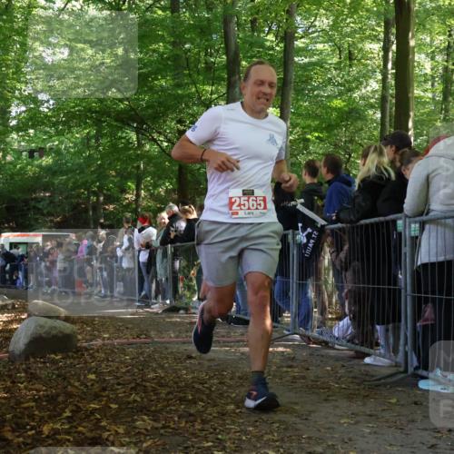 28.09.2025 - 33. Volkslauf durch das schöne Alstertal Strokosch-Dieckow http://msf.ph/oto/8972846 28.09.2025 12:05:54 Ziel 2565 meine-sportfotos.de