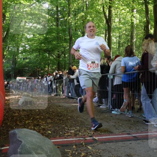 28.09.2025 - 33. Volkslauf durch das schöne Alstertal Strokosch-Dieckow http://msf.ph/oto/8972847 28.09.2025 12:05:54 Ziel 2565 meine-sportfotos.de