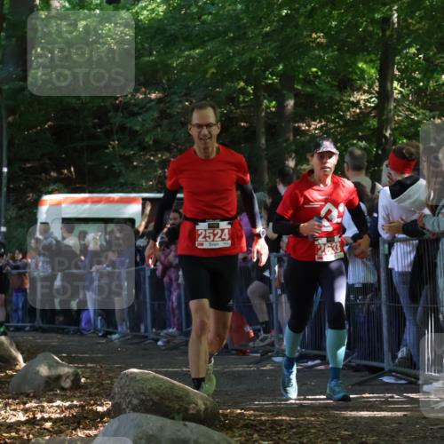 28.09.2025 - 33. Volkslauf durch das schöne Alstertal Strokosch-Dieckow http://msf.ph/oto/8972848 28.09.2025 12:06:02 Ziel 1650, 2014, 2524, 2633 meine-sportfotos.de