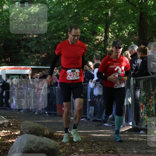 28.09.2025 - 33. Volkslauf durch das schöne Alstertal Strokosch-Dieckow http://msf.ph/oto/8972849 28.09.2025 12:06:03 Ziel 1650, 2014, 2041, 2524, 2633 meine-sportfotos.de