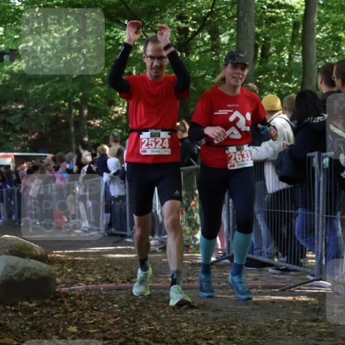 28.09.2025 - 33. Volkslauf durch das schöne Alstertal Strokosch-Dieckow http://msf.ph/oto/8972851 28.09.2025 12:06:04 Ziel 1650, 2014, 2041, 2524, 2633 meine-sportfotos.de
