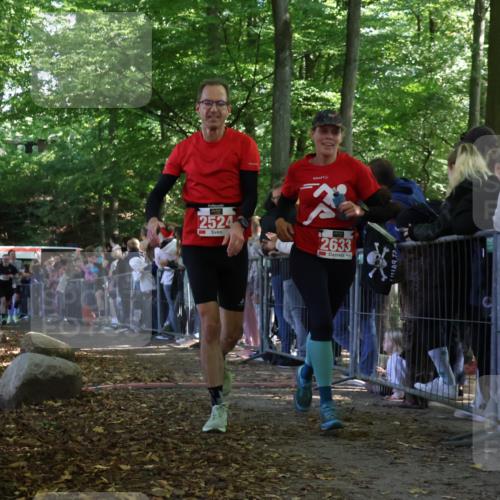 28.09.2025 - 33. Volkslauf durch das schöne Alstertal Strokosch-Dieckow http://msf.ph/oto/8972852 28.09.2025 12:06:05 Ziel 1650, 2014, 2041, 2524, 2633 meine-sportfotos.de