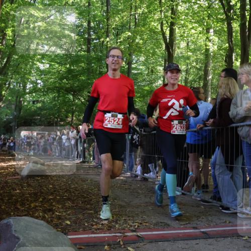 28.09.2025 - 33. Volkslauf durch das schöne Alstertal Strokosch-Dieckow http://msf.ph/oto/8972853 28.09.2025 12:06:05 Ziel 1650, 2014, 2041, 2524, 2633 meine-sportfotos.de
