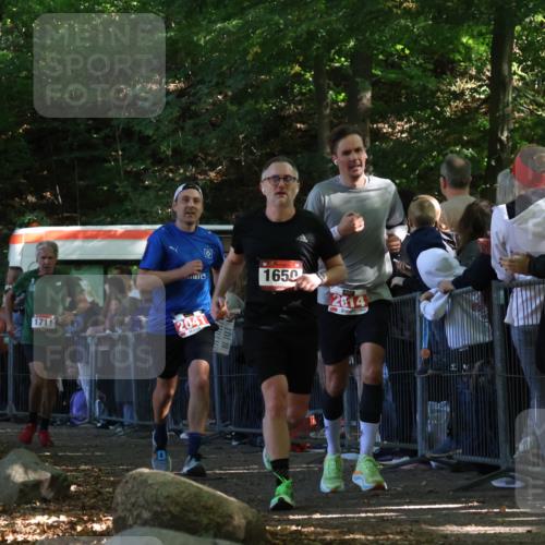 28.09.2025 - 33. Volkslauf durch das schöne Alstertal Strokosch-Dieckow http://msf.ph/oto/8972855 28.09.2025 12:06:08 Ziel 1650, 1701, 1711, 2014, 2041 meine-sportfotos.de