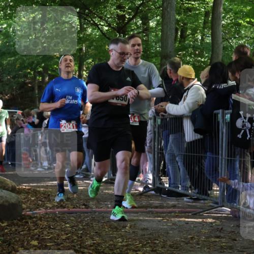 28.09.2025 - 33. Volkslauf durch das schöne Alstertal Strokosch-Dieckow http://msf.ph/oto/8972858 28.09.2025 12:06:11 Ziel 1650, 1701, 1711, 2014, 2041 meine-sportfotos.de