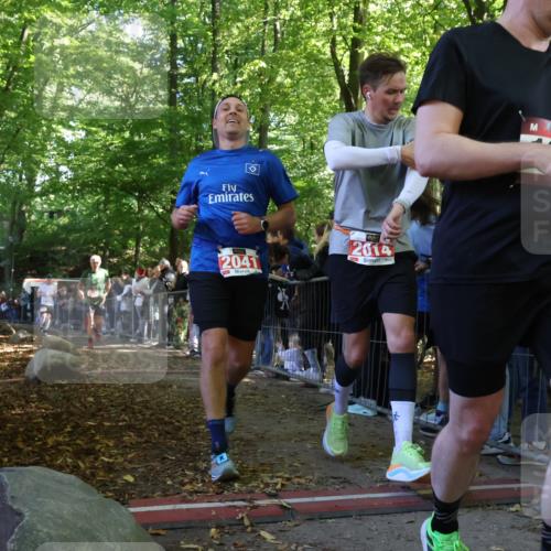28.09.2025 - 33. Volkslauf durch das schöne Alstertal Strokosch-Dieckow http://msf.ph/oto/8972861 28.09.2025 12:06:13 Ziel 1701, 1711, 2041 meine-sportfotos.de