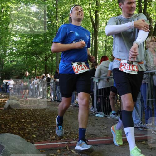 28.09.2025 - 33. Volkslauf durch das schöne Alstertal Strokosch-Dieckow http://msf.ph/oto/8972862 28.09.2025 12:06:13 Ziel 1701, 1711, 2041 meine-sportfotos.de