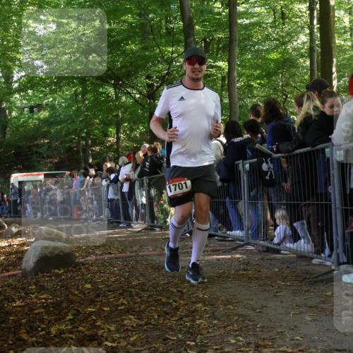 28.09.2025 - 33. Volkslauf durch das schöne Alstertal Strokosch-Dieckow http://msf.ph/oto/8972869 28.09.2025 12:06:17 Ziel 1701 meine-sportfotos.de