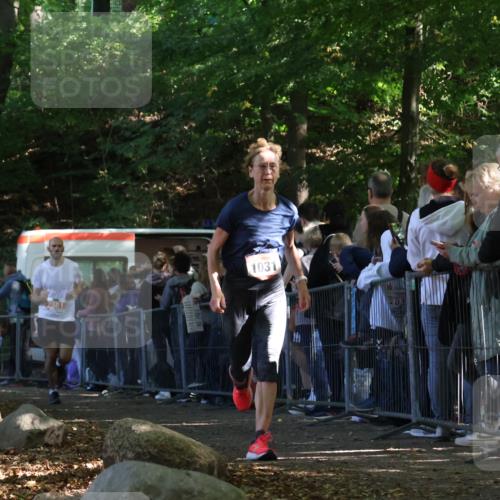 28.09.2025 - 33. Volkslauf durch das schöne Alstertal Strokosch-Dieckow http://msf.ph/oto/8972878 28.09.2025 12:06:40 Ziel 1031, 2581 meine-sportfotos.de
