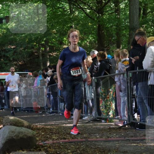 28.09.2025 - 33. Volkslauf durch das schöne Alstertal Strokosch-Dieckow http://msf.ph/oto/8972879 28.09.2025 12:06:42 Ziel 1031, 2581 meine-sportfotos.de