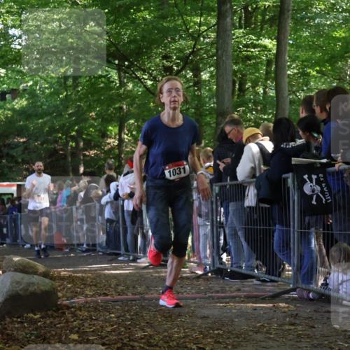 28.09.2025 - 33. Volkslauf durch das schöne Alstertal Strokosch-Dieckow http://msf.ph/oto/8972880 28.09.2025 12:06:42 Ziel 1031, 2581 meine-sportfotos.de