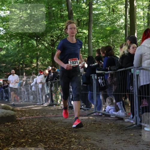 28.09.2025 - 33. Volkslauf durch das schöne Alstertal Strokosch-Dieckow http://msf.ph/oto/8972881 28.09.2025 12:06:43 Ziel 1031, 1654, 2581 meine-sportfotos.de