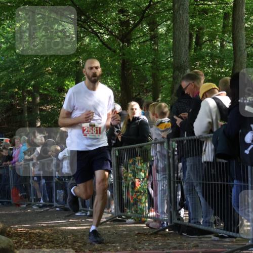 28.09.2025 - 33. Volkslauf durch das schöne Alstertal Strokosch-Dieckow http://msf.ph/oto/8972884 28.09.2025 12:06:45 Ziel 1654, 2581 meine-sportfotos.de