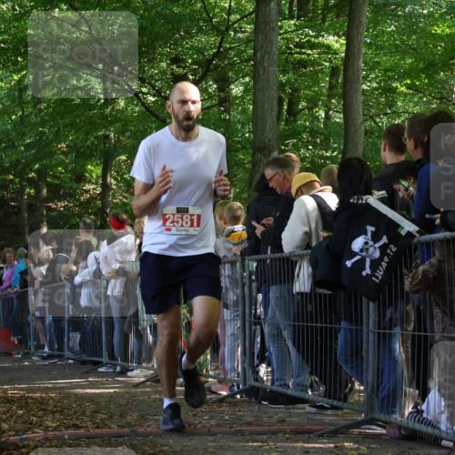 28.09.2025 - 33. Volkslauf durch das schöne Alstertal Strokosch-Dieckow http://msf.ph/oto/8972885 28.09.2025 12:06:45 Ziel 1654, 2581 meine-sportfotos.de
