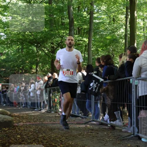 28.09.2025 - 33. Volkslauf durch das schöne Alstertal Strokosch-Dieckow http://msf.ph/oto/8972886 28.09.2025 12:06:46 Ziel 1039, 1654, 2581 meine-sportfotos.de