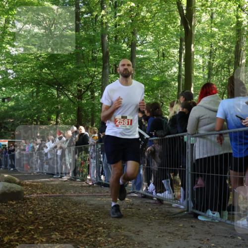 28.09.2025 - 33. Volkslauf durch das schöne Alstertal Strokosch-Dieckow http://msf.ph/oto/8972887 28.09.2025 12:06:46 Ziel 1039, 1654, 2581 meine-sportfotos.de