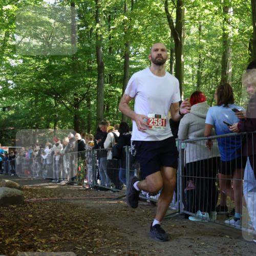 28.09.2025 - 33. Volkslauf durch das schöne Alstertal Strokosch-Dieckow http://msf.ph/oto/8972888 28.09.2025 12:06:46 Ziel 1039, 1654, 2581 meine-sportfotos.de
