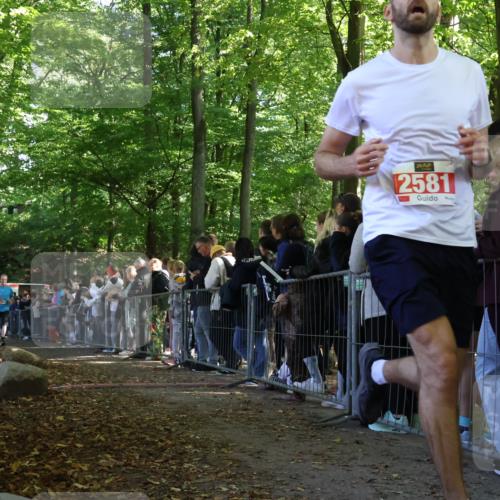 28.09.2025 - 33. Volkslauf durch das schöne Alstertal Strokosch-Dieckow http://msf.ph/oto/8972889 28.09.2025 12:06:47 Ziel 1039, 1654, 2581 meine-sportfotos.de