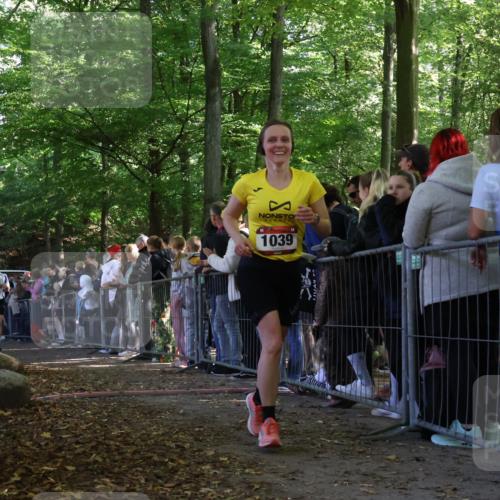 28.09.2025 - 33. Volkslauf durch das schöne Alstertal Strokosch-Dieckow http://msf.ph/oto/8972901 28.09.2025 12:06:55 Ziel 1039, 2339 meine-sportfotos.de