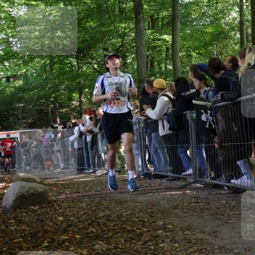 28.09.2025 - 33. Volkslauf durch das schöne Alstertal Strokosch-Dieckow http://msf.ph/oto/8972904 28.09.2025 12:06:59 Ziel 1048, 1674, 1699, 1809, 2339 meine-sportfotos.de